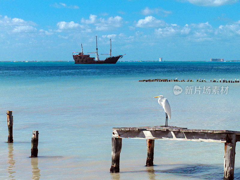 码头上的白鹭与海盗船和坎昆，加勒比岛Isla Mujeres，墨西哥